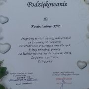 Mundurowi wspolnie na festynie